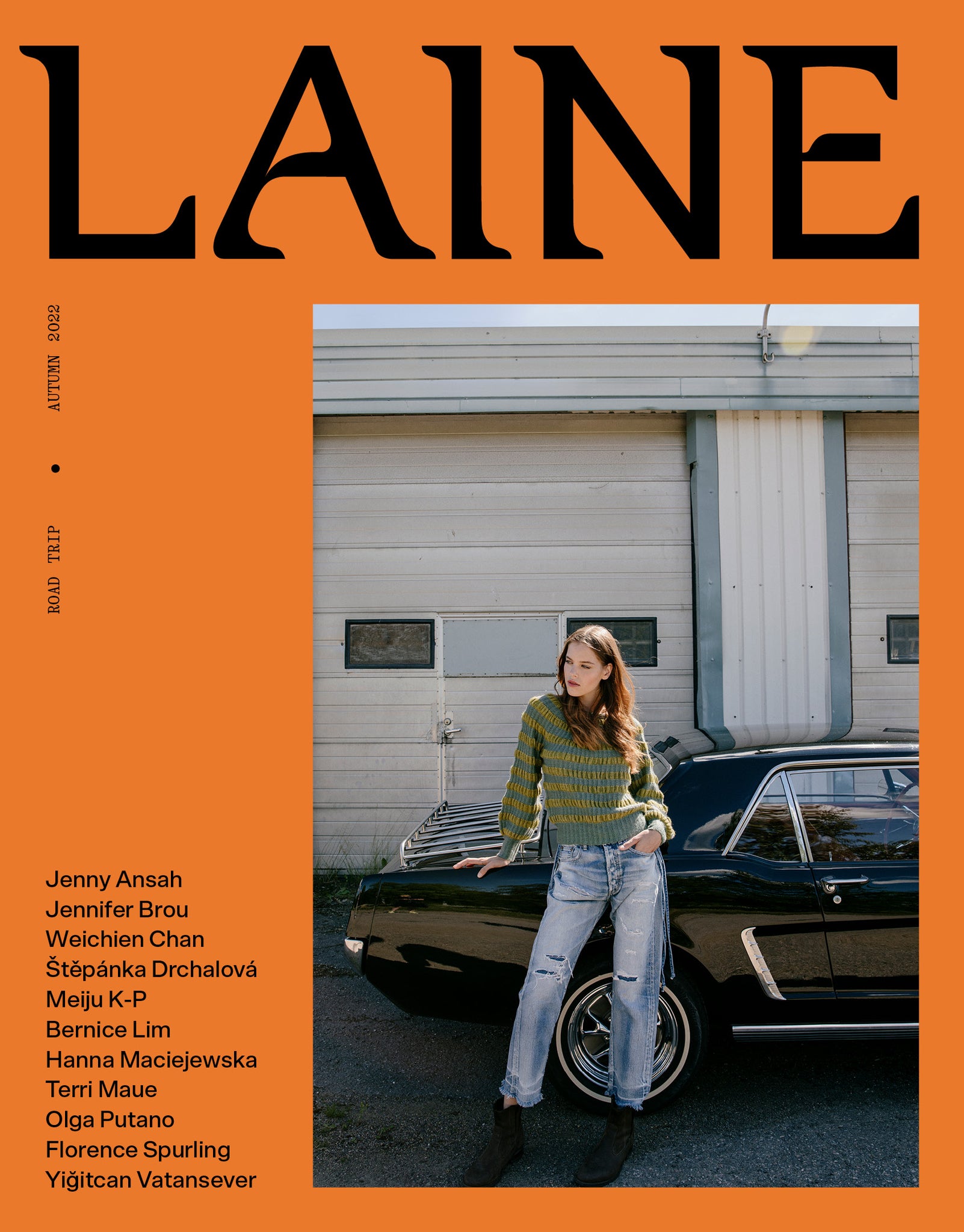 LAINE Magazine Issue 15 - coloured cover